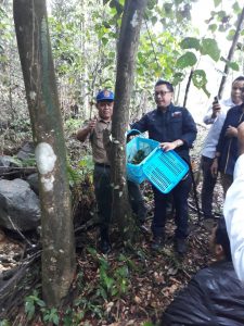 pelepasan kukang tahura bung hatta padang