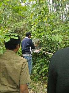 pelepasliaran kukang aceh