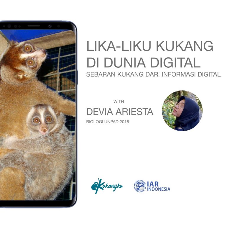 Lika Liku Kukang Di Dunia Digital Kukangku