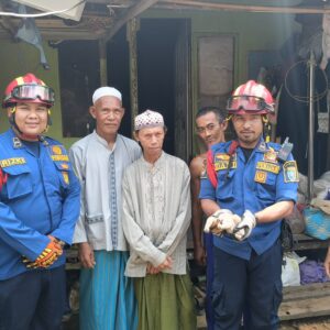 Evakuasi kukang kalimantan di permukiman warga oleh Damkar Banjar (Foto. banjarkab.go.id)