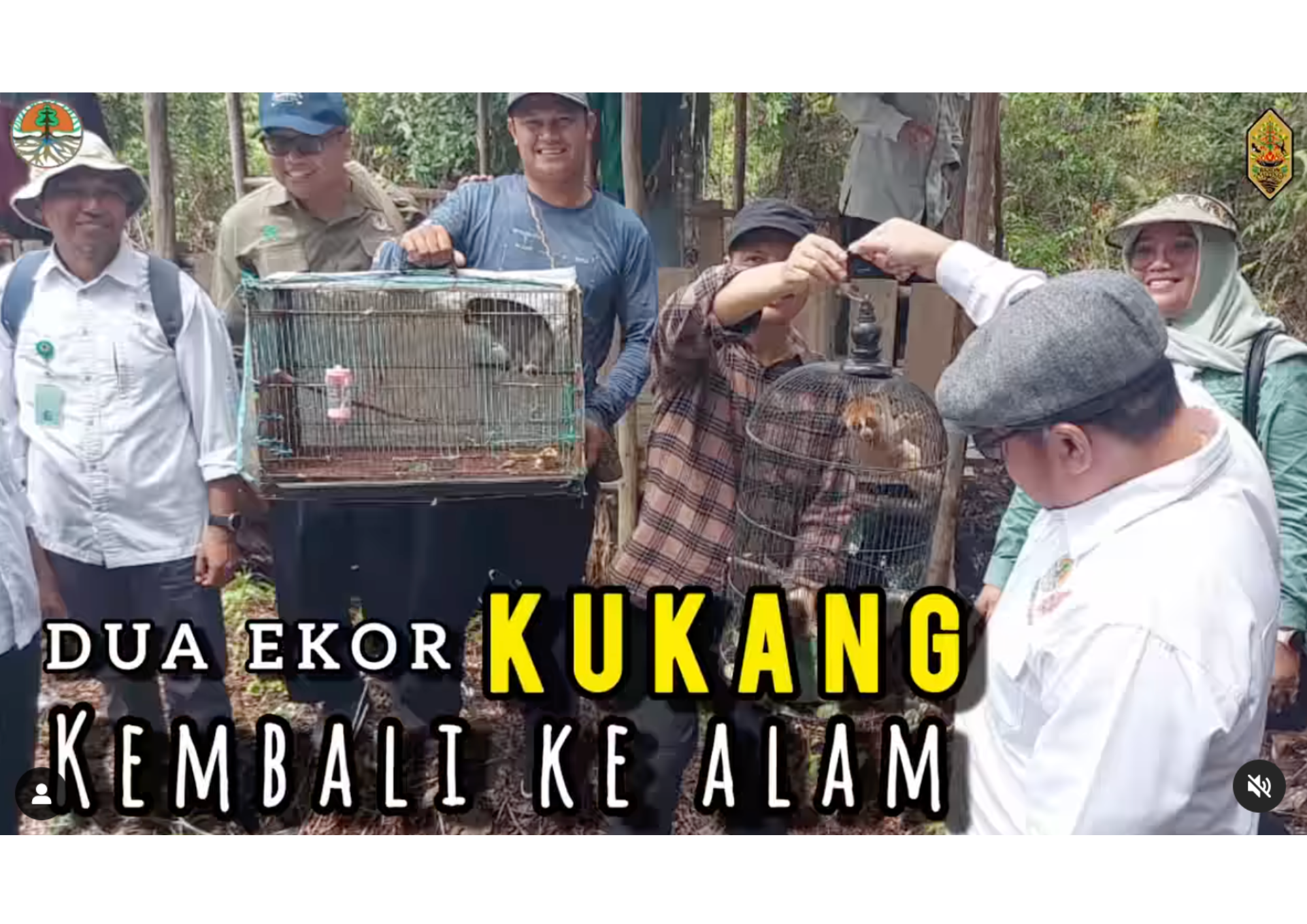 Pelepasliaran dua kukang di KSA/KPA Bukit Rawi oleh BKSDA Kalimantan Tengah