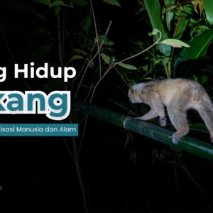 Ruang hidup kukang